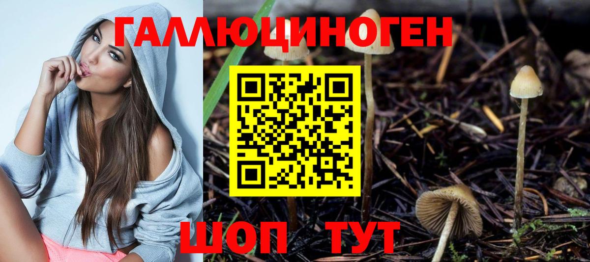 Псилоцибиновые грибы GOLDEN TEACHER  наркота  Рубцовск  Псилоцибиновые грибы Cubensis  Вход с VPN 